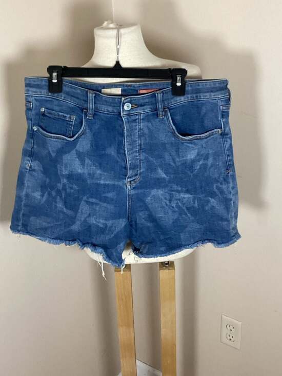Pilcro Pants - Pilcro by Anthropologie Cloud Wash Raw Hem Denim Shorts, Size 31